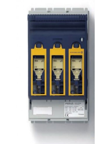Fused Battery Disconnect